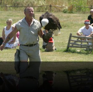 17-07-05 Groombridge 9